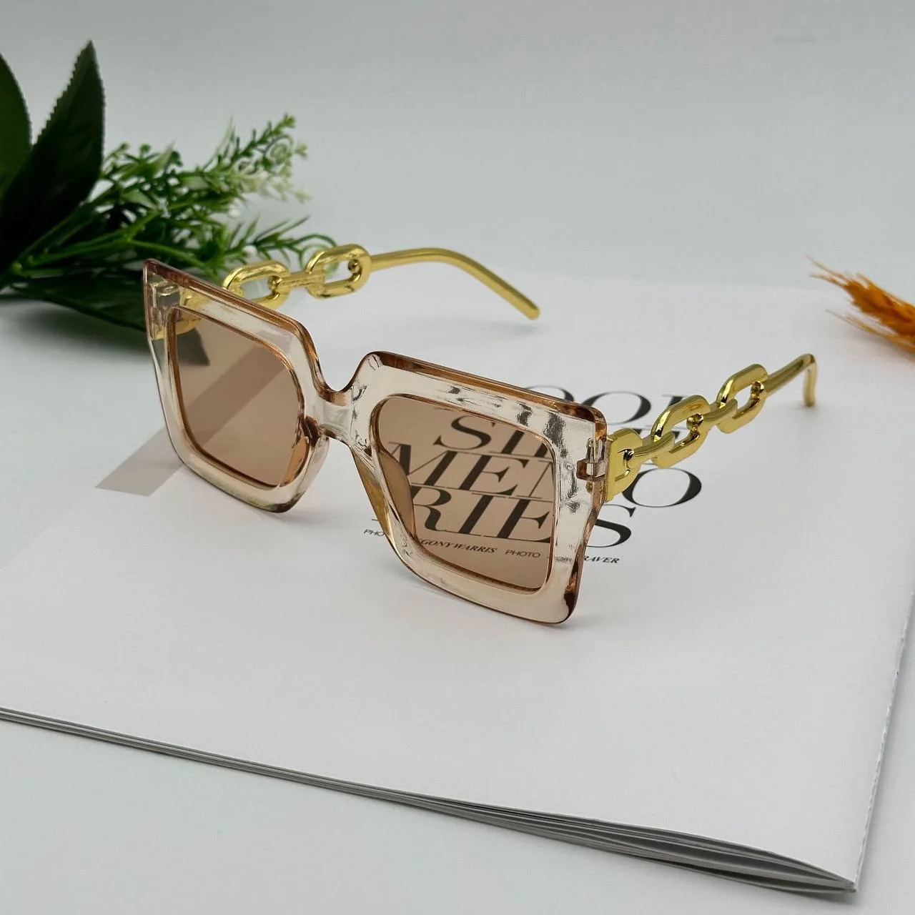 Memo Smart Glasses